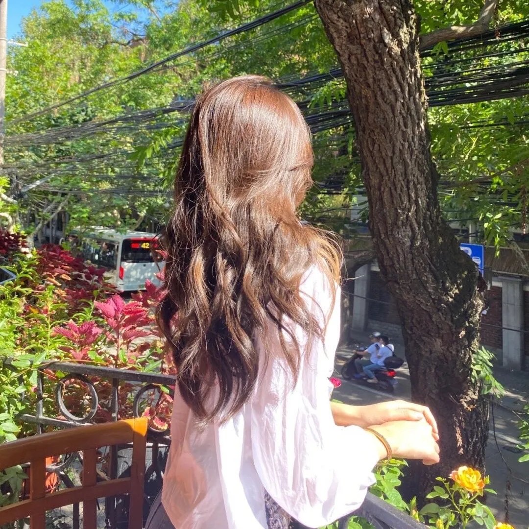 美德加·艾维斯